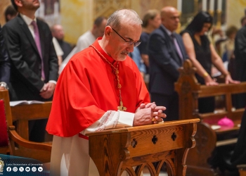 Festa di San Francesco d'Assisi | 2025