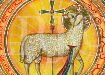 Meditación De S.B. Cardenal Pierbattista Pizzaballa: III Domingo de Pascua, año A